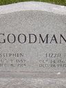 Record image of Damey Elizabeth "Lizzie" Goodman (born Eads)