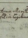 Record image of Anna Maria Einwögerer (geb. Hofbauer)