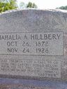Record image of Mahala Adaline Hillberry (born Moore)