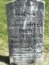 Record image of Mary Ann Pyles (born Burge)