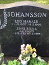 Record image of Leo Harald Johansson