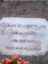 Record image of Jakob Amundsen Blomstrand