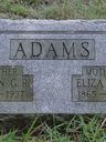 Record image of Eliza Ann Adams (born Heavens)