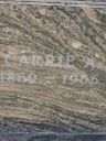 Record image of Caroline Augusta Wilhelmina "Carrie" Jones (geb. Henning)