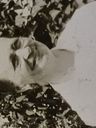 Record image of Brita Margreta Wikström (born Edlund)