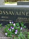 Record image of Johanna Maria Vilhontytär Tossavainen (o.s. Raatikainen)