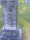 Record image of Mary Elizabeth Ellis (born Daily)