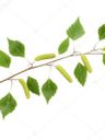 Record image of // GUSTAVA SVENSDOTTER