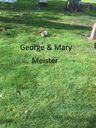 Record image of George Alex Meister