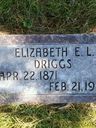 Record image of Elizabeth Emily Driggs (born Langton)