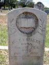 Record image of Temperance Vincent Walker (born Jones)