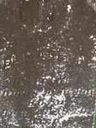 Record image of Elizabeth Amanda McRae (born Guest)