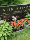 Record image of Tyyne Viinikainen