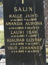 Record image of Karl Johan/Kalle Juho Salin (Carlsson)