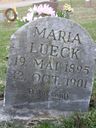 Record image of MARIA DEL CARMEN PEREZ ARZAONDO Enrique (born MARI CARMEN)
