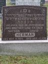 Record image of Nathan (Naftoli) Herman