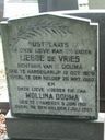 Record image of Mollina de Vries (born Douma)