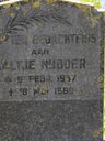 Record image of Aaltje van der Meer (geboren Nijboer)
