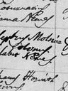 Record image of Apollónia Molnár