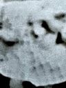 Record image of Klara Klärli VÖGTLIN (geb. Schweizer)