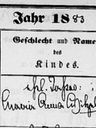 Record image of Maria Anna Briehle (geb. Witzel)